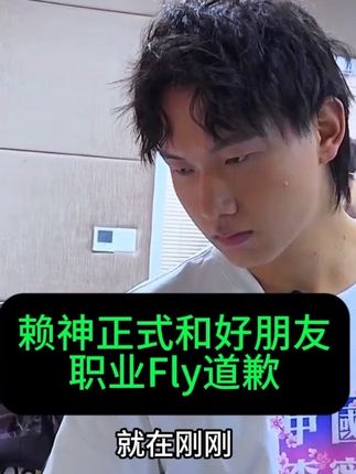 赖神正式公开向Fly道歉,不应该此时点评 #电子竞技 #有点上头 #kpl