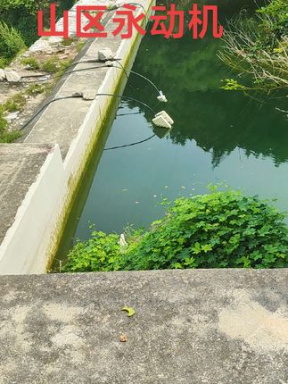 自流灌溉 利用大气压力和重力完成自流灌溉,节约人力电力#河边随拍 #小桥流水 #大气压#农田灌溉 #自流灌溉#永动机