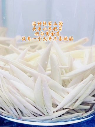 #黄金芽 #原产地 #核心产区 #安吉白茶 #新茶上市