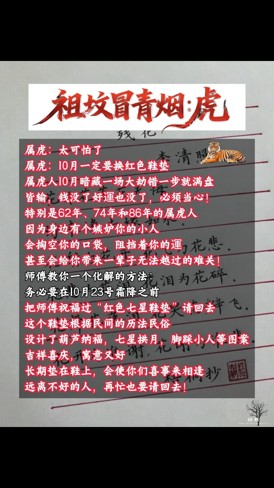 #属虎 #生肖虎 #属虎的人