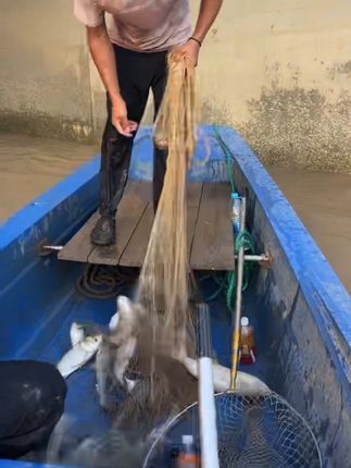 老地方,再来一网