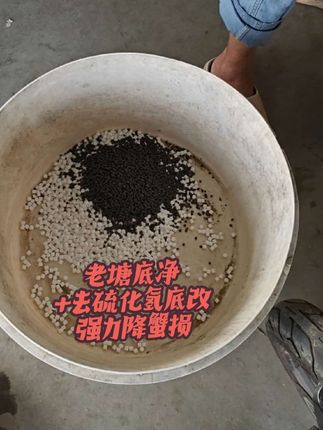 养殖河蟹的烦恼?底部问题一解决,虾蟹漂损全没了!用老塘底净,轻松搞定!#河蟹养殖