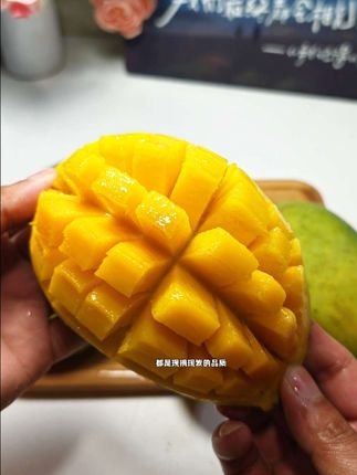 这个季节的广西金煌芒太赞了,都是现摘现发的品质,咬一口满嘴的汁水,果肉香甜浓郁,皮薄汁多,口感细腻得让人回味无穷,个头比手还大,关键是价格比超市实惠不少,刷到就赶紧囤吧,不然又得等明年啦!#芒果#水果#广西金煌芒果