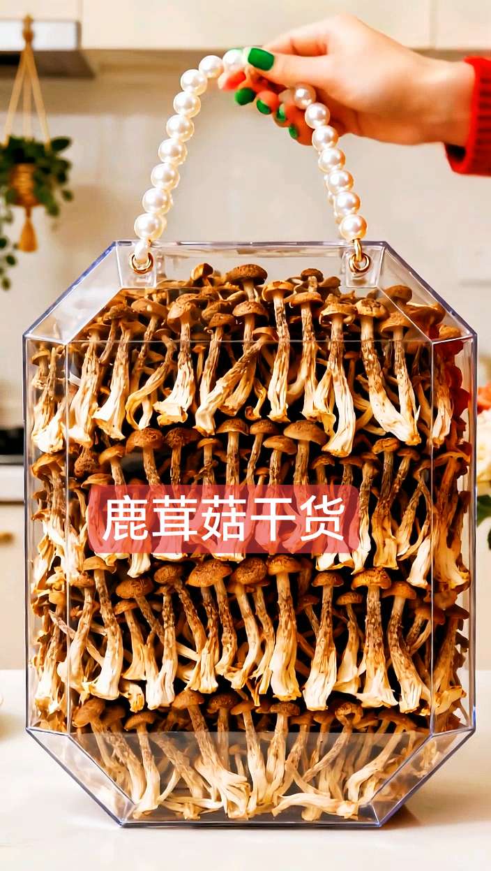 这款鹿茸菇干货,闭眼入都不踩雷! 严选上乘鹿茸菇,采用传统慢晒工艺,把鲜味牢牢锁在菌肉里,食材的原生菌香纯粹浓郁,品质经得起考验,老客回购率更是居高不下。 泡发后脆嫩度恰到好处,还自带“吸味buff”,哪怕是厨房新手,拿它随便一炒都是下饭绝配,分分钟光盘。 #干货推荐 #鹿茸菇干货天花板 #新手下厨神器 #菌菇鲜味暴击 @抖音🔥上热门