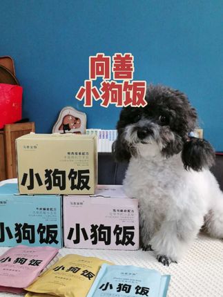 19.8到手一盒10包的小狗饭,狗狗一天一包都刚刚好!!有三种口味可以选,还没给毛孩子安排上湿粮的家长趁现在活动赶紧试一下~#宠物食品 #狗狗湿粮 #小狗饭 #狗狗湿粮包 #湿粮主食