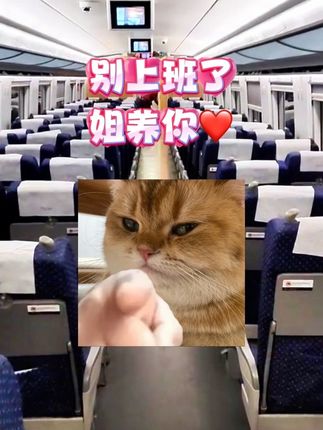 求求你不要再原价买火车票了!! #携程火车票 #携程靠谱每一程 #高铁 #省钱攻略 #薅羊毛的快乐