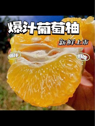 现摘福建爆汁黄金葡萄柚新鲜柚子应季蜜柚孕妇水果3/5/9斤清甜#蜜柚 #蜜柚真甜 #柚子 #柚子熟了