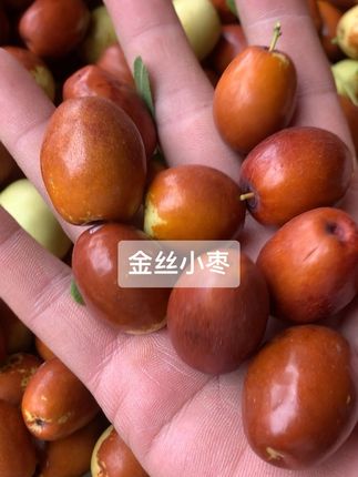 金丝小枣现摘发货