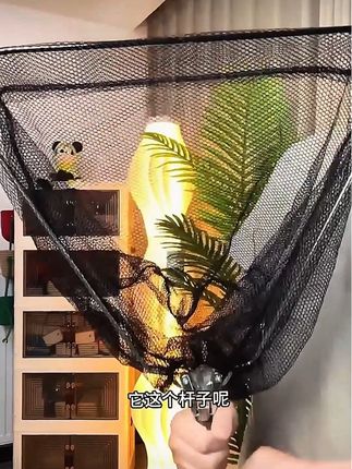 #抄网杆 #抄网 #户外用品 #户外装备