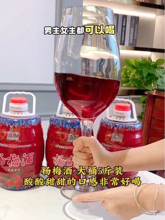 湖南靖州特产杨梅酒,大桶五斤装,酸甜清爽不辣口,男生女生都可以喝的低度微醺杨梅果酒#杨梅酒 #好喝不贵 #微醺时刻 #果酒 #果酒微醺