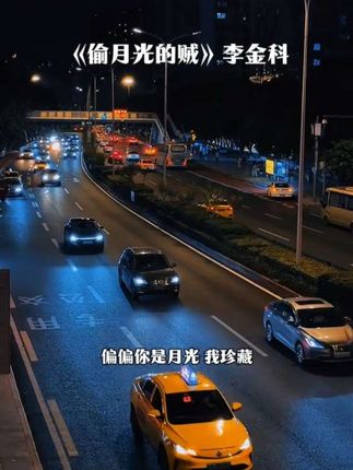#偷月光的贼 爱了一场 却不敢张扬 明明你很爱他 也无妨