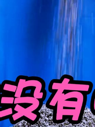 咦?怎么肥四?怎么会没有尘土?,#我不是天才吗 #胭脂 #铲屎官的乐趣 #萌宠 #新奇好物