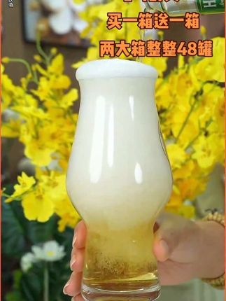 两箱48罐哈尔滨啤酒特价包邮,现在划算赶紧去入手,拍完就没货了#啤酒 #好喝不贵 #精酿啤酒 #好酒推荐 #超划算超便宜