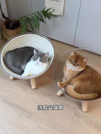 猫咪天生喜欢睡洗脸盆,这种盆状猫窝满足所有需求~猫抓垫还可以拆卸,能抓能睡,一年四季都能用#猫窝 #猫抓板 #不掉屑猫抓板推荐#无限回购的宝藏单品