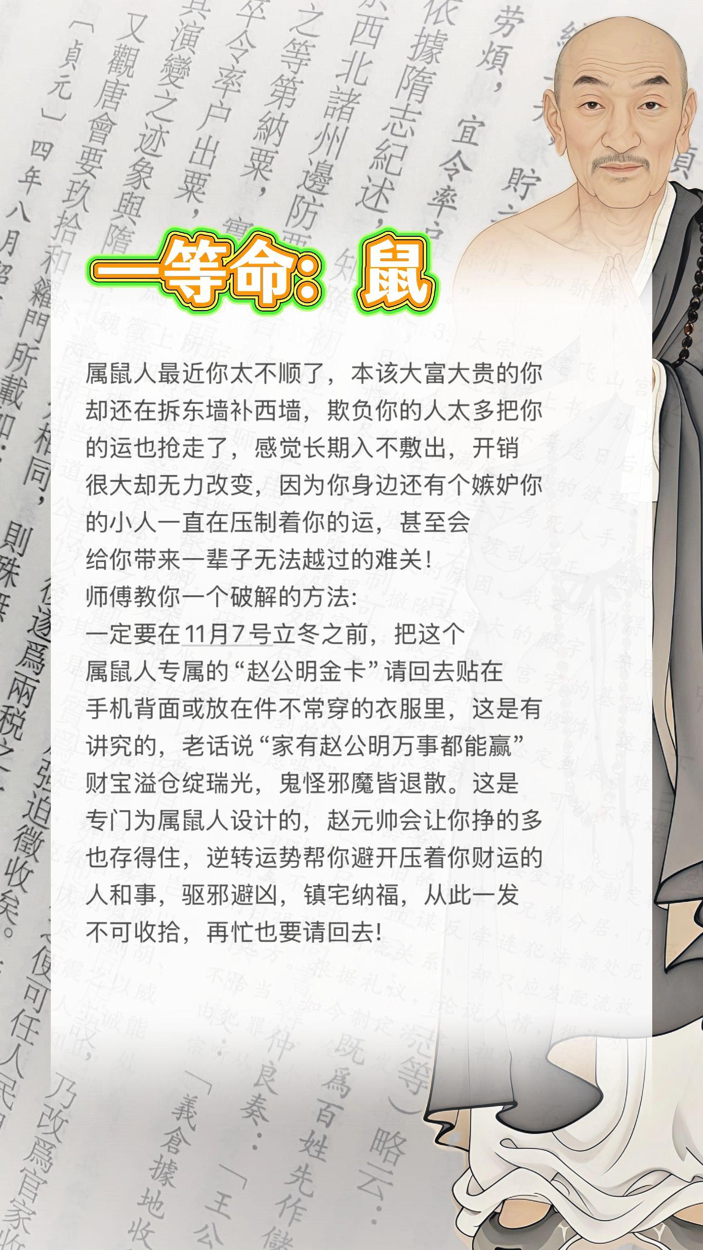 #鼠 #属鼠 #生肖鼠