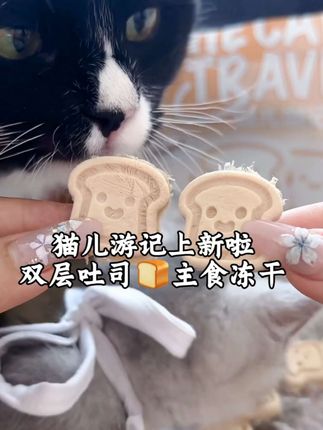 不会还有小猫咪没有吃过吐司冻干吧!现在活动只要个位数,好看又好吃#萌宠好物 #猫儿游记主食冻干 #主食冻干 #喂猫日记