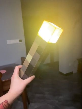#我的世界 #火把灯 #mc #像素世界