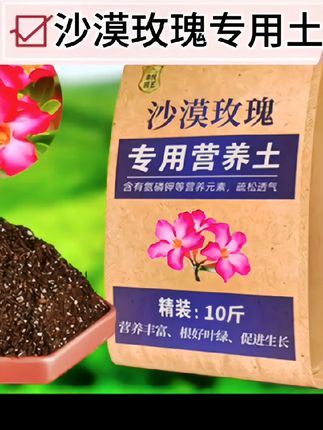 种植沙漠玫瑰用什么土好?#沙漠玫瑰专用土 #沙漠玫瑰营养土 #沙漠玫瑰专用营养土 #沙漠玫瑰