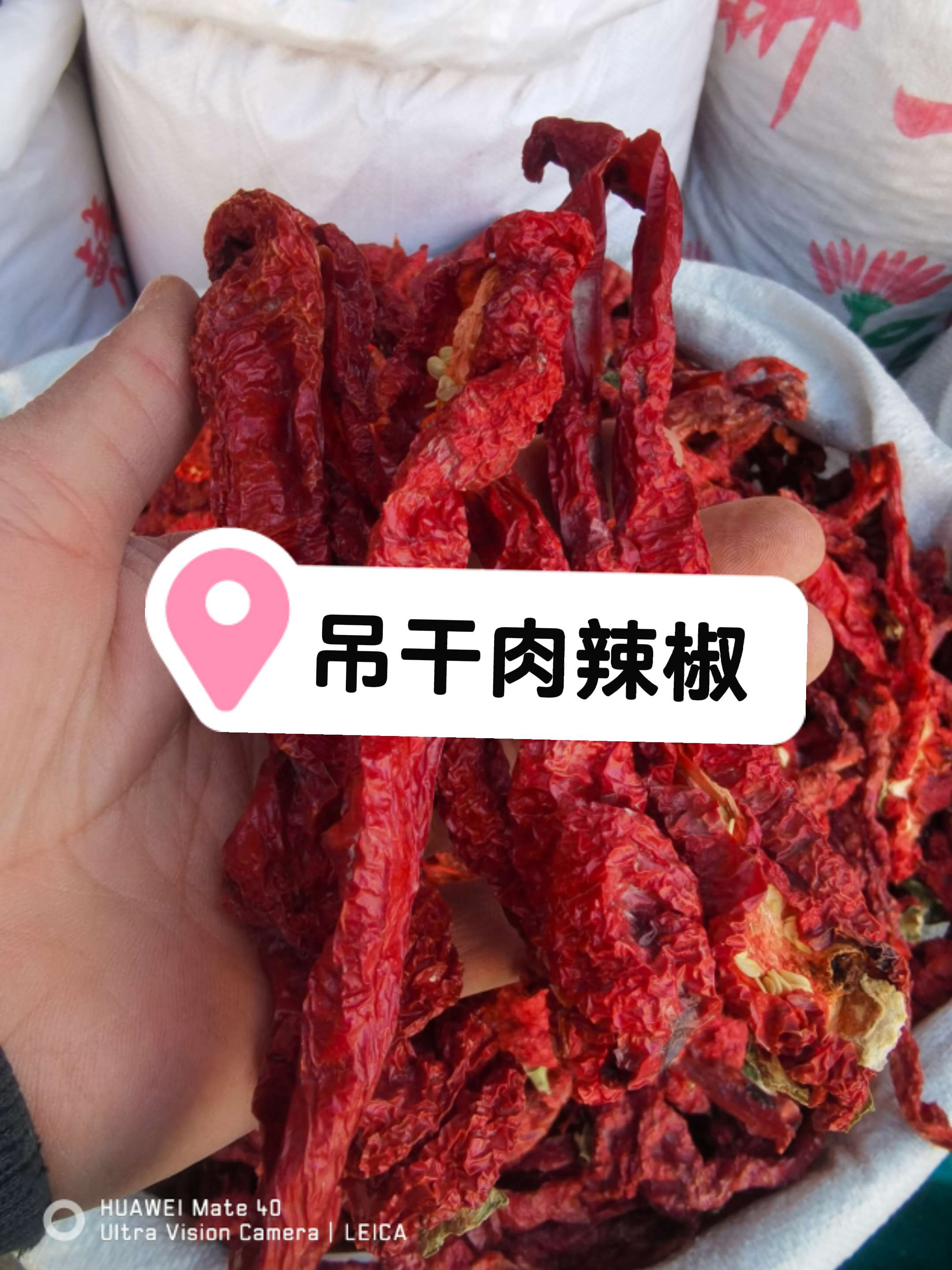 吊干肉辣椒。新疆焉耆肉辣椒,挂在绳子吊干的辣皮子,颜色红亮香而不辣,适合家庭做菜做酱,油泼辣子油,辣皮子拌面都挺好,#家常美食 #新疆辣皮子#团圆搭子选伊利 #简简单单一顿家常便饭