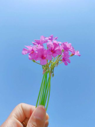 #时尚气质穿搭#谁穿谁好看#气质女神穿搭#洋气减龄穿搭#引领时尚潮流