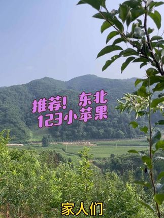 #新鲜采摘 #应季水果 #硕果累累