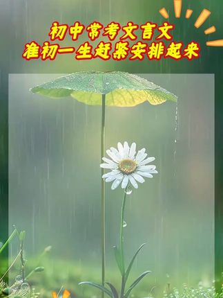 9月份要上7年级的孩子注意力,#文言文 一定要提前背,可以用三年时的《初中文言文全解全练》,#每天学习一点点 #高效学习 #初中文言文#开学必备