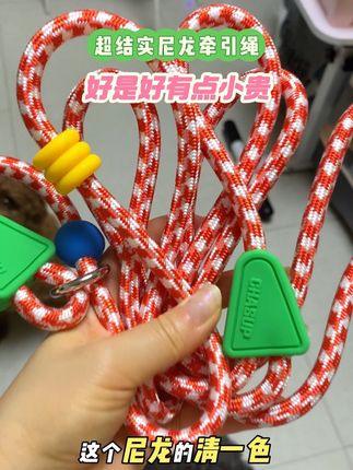 好结实的牵引绳#狗狗牵引绳#大型犬牵引绳 #自动伸缩 #训狗牵引绳 #尼龙牵引绳 @DOU+小助手 @DOU+上热门