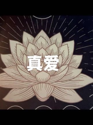#原创 #每日分享 #塔罗 #塔罗测试 #日常分享