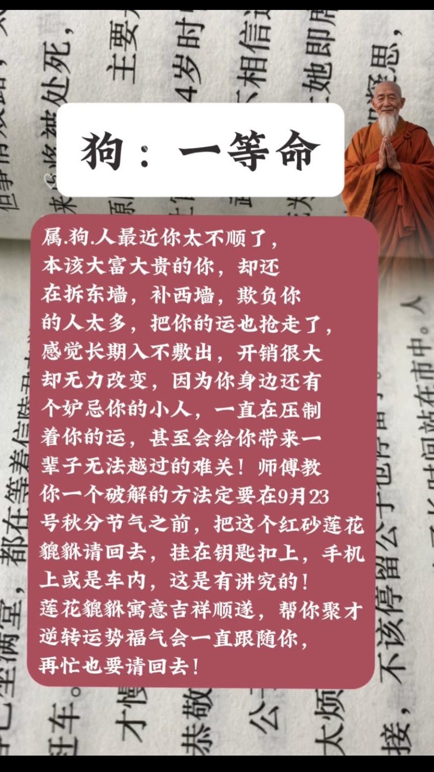 #70年的狗#82年的狗#94年的狗