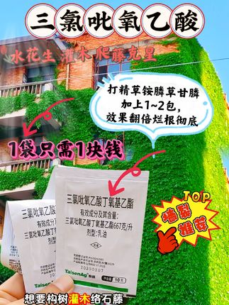 非耕地除构树灌木落石藤的配方来啦~千万不要搞错了,除构树灌木落石藤啊,你单精草铵膦铵盐草甘膦,简直是在扣痒痒,一年反反复复打个好几次,浪费油钱不说呀,人也跟着瞎折腾。但如果你在草甘膦、精草铵膦铵盐的基础上,加上一到两袋的三氯吡氧乙酸,那真的是死叶又烂根。三氯吡氧乙酸福利来喽!五十袋只需五十元,一块钱一袋!,十克的大剂量,还是新日期,现货不多了,需要的大哥抓紧下手。#除草剂 #水花生 #三氯吡氧乙酸 #2025新农人计划 #杂草克星