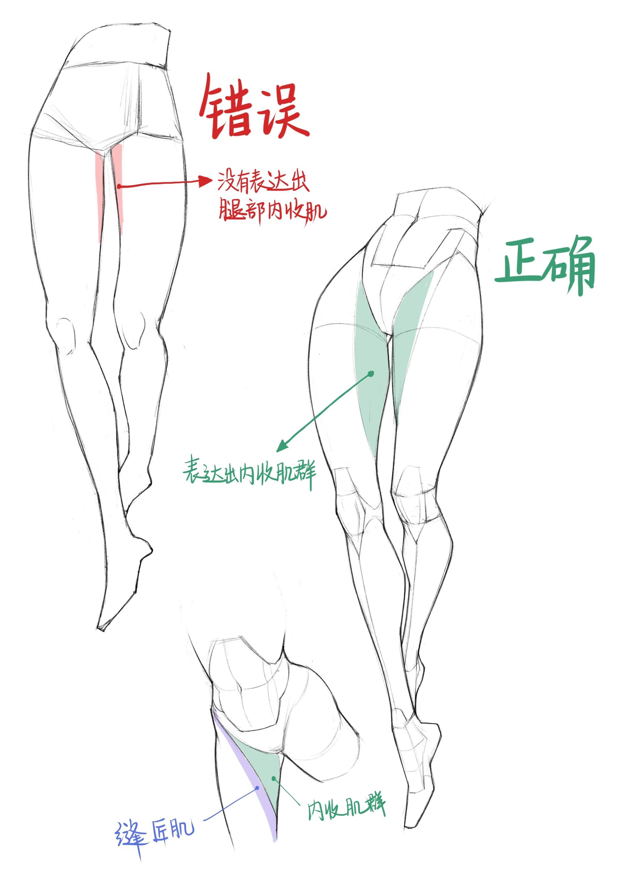 人体绘画_腿部细节。#人体结构 #绘画教程 #板绘 #速写 #二次元