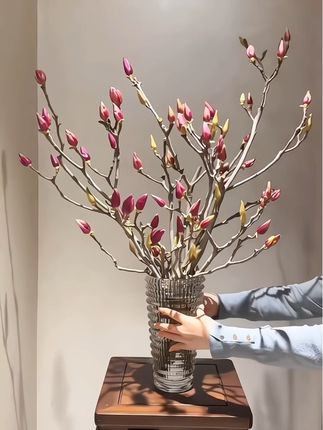 遇水开花#水培玉兰花 #玉兰花开了 清新好闻 香味扑鼻#玉兰花 高贵典雅,摆在哪里都好看#玉兰花开美如玉 #玉兰花开