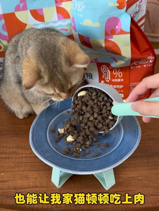 一个月几十块,猫咪也能顿顿吃上肉,#新手养猫 #猫粮 #猫粮推荐 #美滋元猫粮