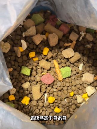 像我一样牛马打工人贫民窟养猫的 这款真的必入#猫粮推荐 #养猫人 #新手养猫 #贫民窟养猫