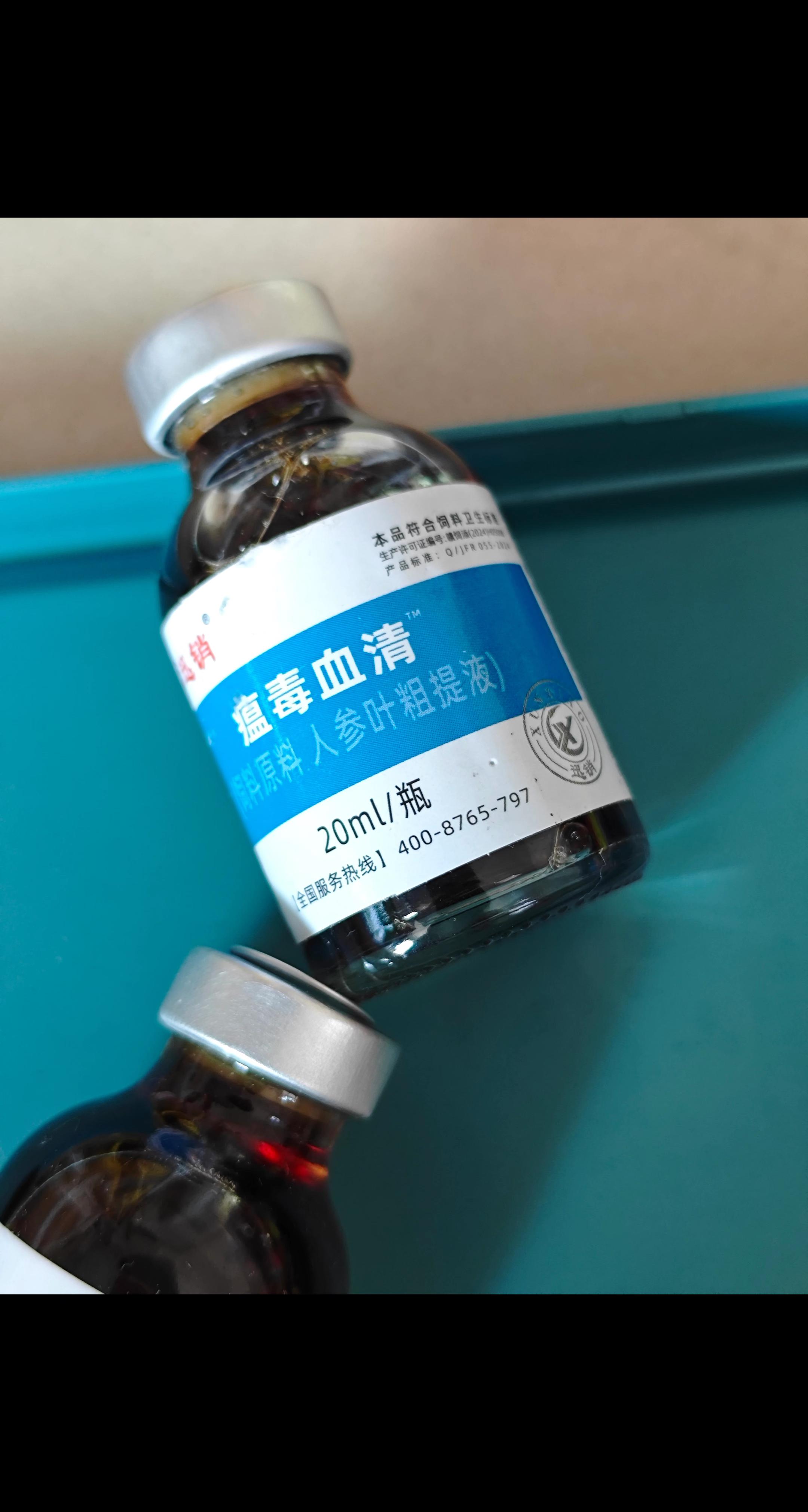 #养狗的乐趣 #萌宠出道计划 #养狗经验分享