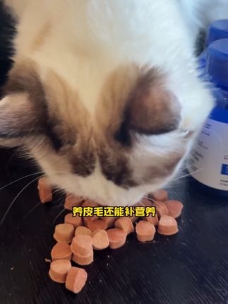 补生物素就用这个冻干!#养猫好物#宇森带货#新手养猫#无限回购的宝藏单品 #萌宠好物