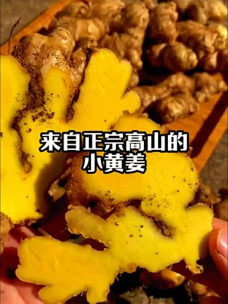 正宗高山小黄姜辛辣老姜精品姜母月子姜产地直销新鲜山地姜生姜#养生汤 #滋补养生汤 #舌尖美味 #除湿降燥