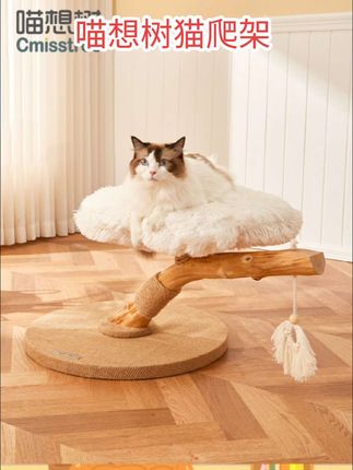 #好物 喵想树猫爬架大型猫树跳台一体豪华实木猫架子别墅猫窝不占地云朵#好物推荐🔥 #宠物用品推荐 #宠物出道计划 #好东西一起分享