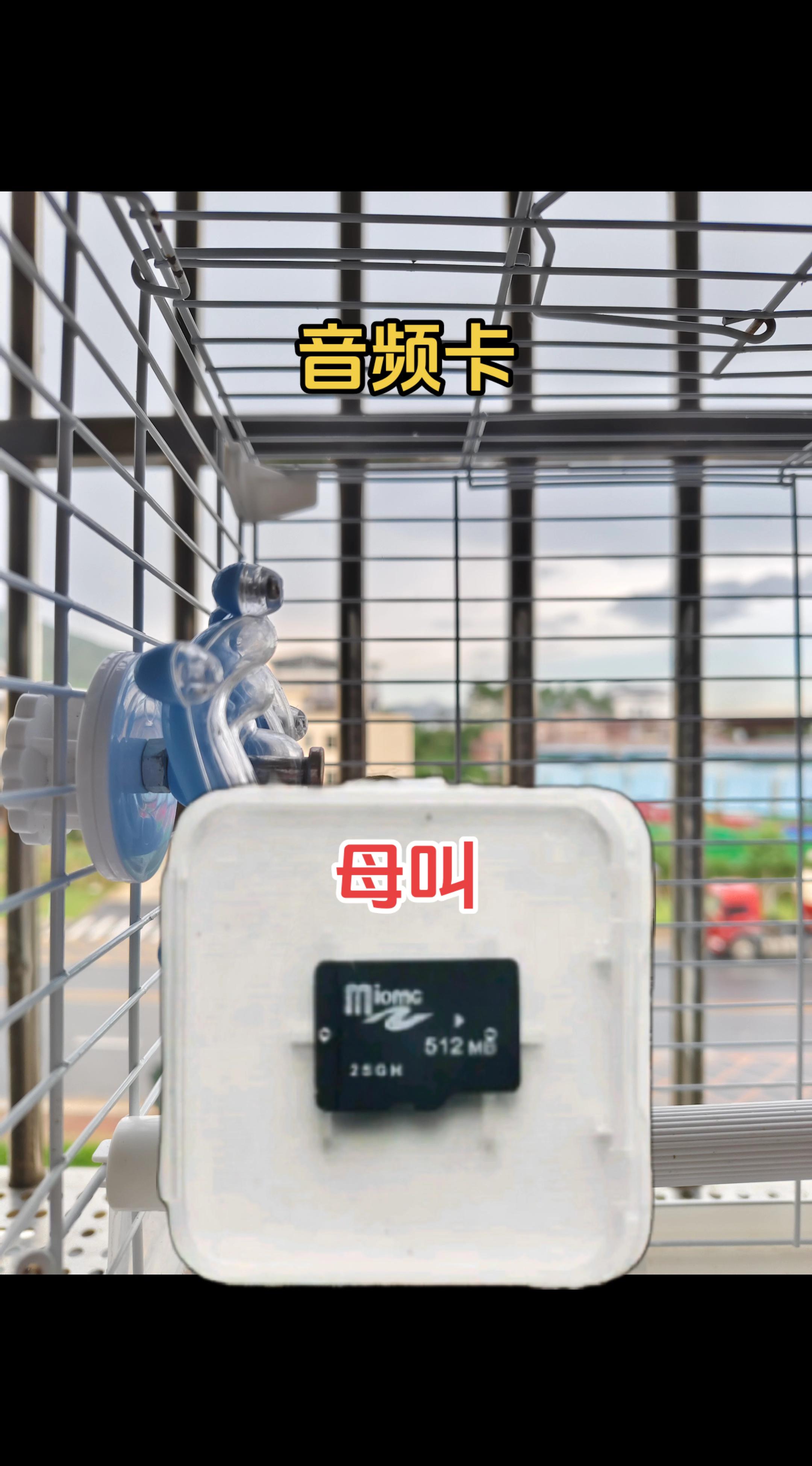 #母叫声 #音频卡 #神奇动物在抖音