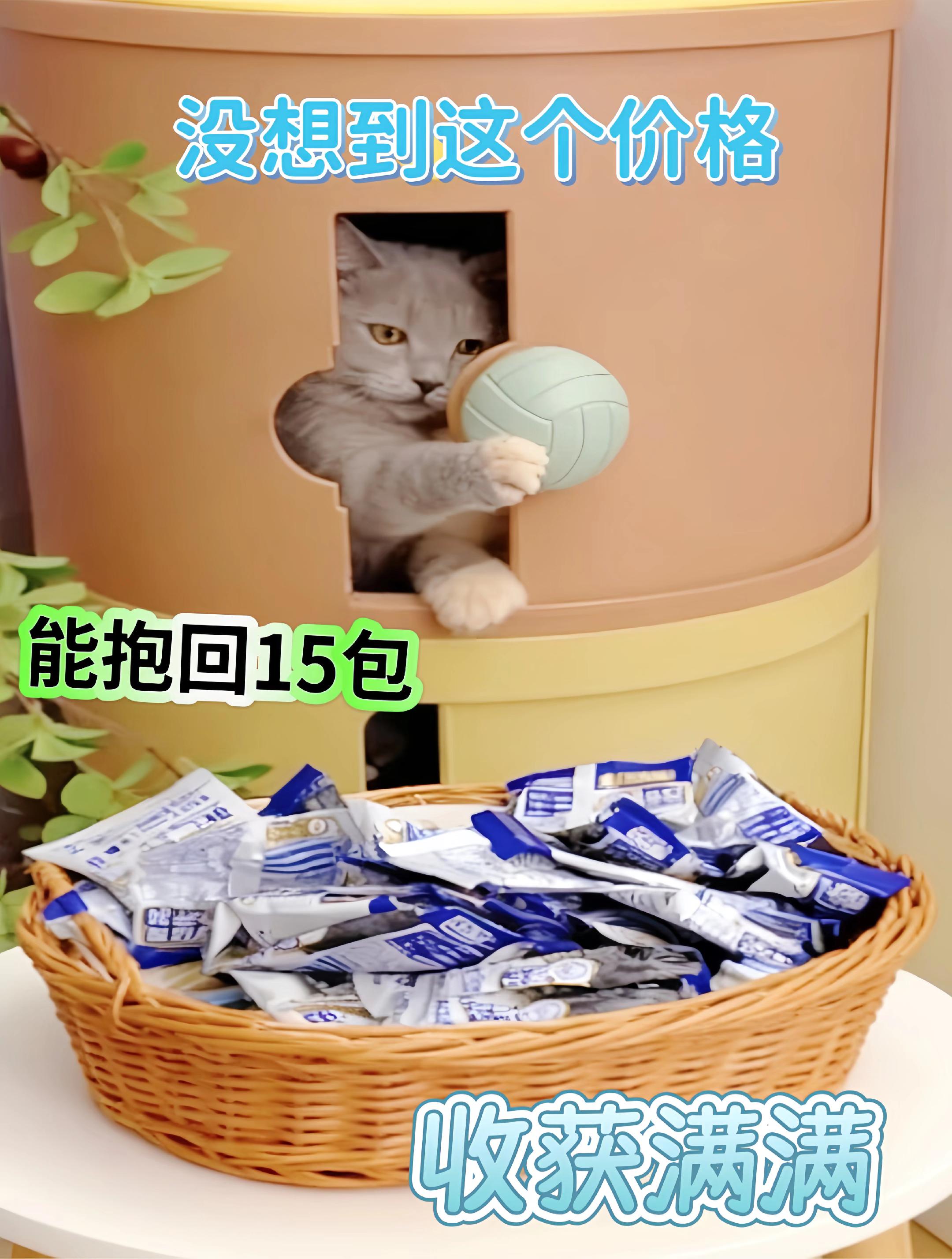 刚开粮袋就飘出自然肉香,还混着点淡淡油脂气。每粒粮都饱满圆润,裹着软乎乎的肉绒内芯。小家伙耳朵“唰”地立成小三角,尾巴轻扫着地,鼻尖都快凑到袋口了。圆眼睛睁得溜圆,瞳孔闪着细碎光,喉咙里哼唧不停,小爪子急着扒拉空气,全是“快给我吃”的模样~霹雳宝贝 #猫粮 #萌宠好物