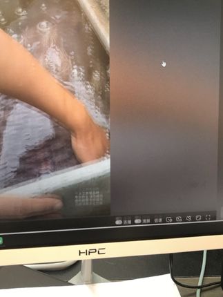 #万物皆可盘#李羲承符神颜#张予曦#旺仔小乔#赵露思