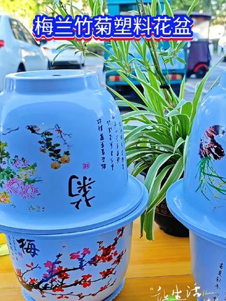 把梅兰竹菊的诗意种进花盆,塑料材质轻便又耐用,为你的绿植打造一方独特小天地,装点生活的每一处角落。#塑料花盆 #梅兰竹菊塑料花盆 #国风塑料花盆 #花盆花盆#透气花盆