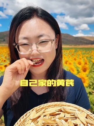 这么好的黄芪,每天嚼两片可好了#黄芪 #农村