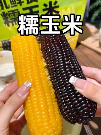 管理期吃这个又香又甜的糯玉米真的太好坚持了! #糯玉米 #软糯香甜 #玉米 #粗粮 #香糯玉米