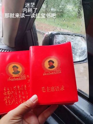 内耗 迷茫,一定要读一读红宝书,90%的答案都能从这里找到#读书#解惑#红宝书
