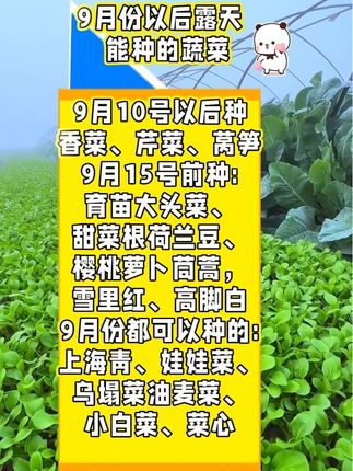 种蔬菜时间#种菜小技巧 #农业种植 #抖音助农 #服务三农支持三农 #新农人计划