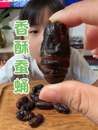 东北柞蚕蛹#香酥蚕蛹 #嘎嘎香啊 #零食分享 #美味一刻满满是真
