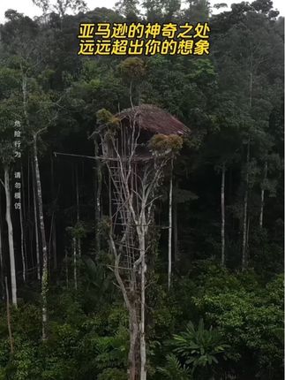 丛林里没有剧本,走进亚马逊热带雨林,一个被世人遗忘的角落,人类最后一片净土…#旅行大玩家 #亚马逊雨林