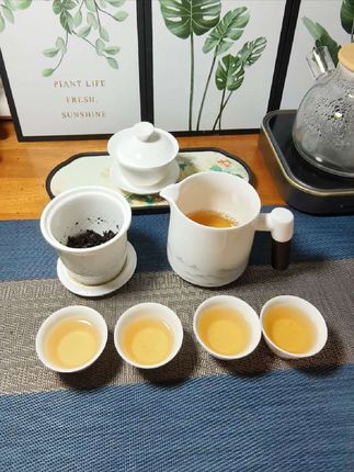 宋建白瓷高档旅行茶具套装,便携式快客杯,一壶四杯户外送礼#茶具 #茶生活 #旅行茶具#便携#快客杯