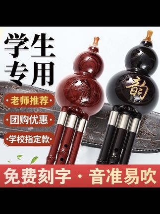 #乐器 #谁还不会个乐器 #葫芦丝#葫芦丝 #葫芦丝月光下的凤尾竹